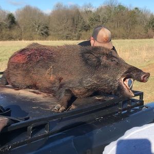 Meet your Posher, Jj